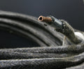 Western Electric 8GA 3.3mm wire  3 meter great power cable0